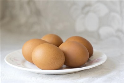 eggshell-rankakumaku